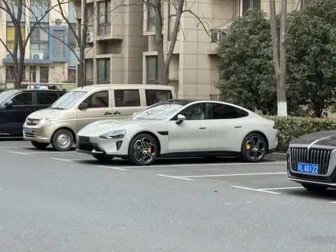 小区里最靓的崽